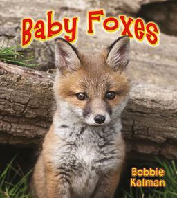 Baby Foxes  9780778739791 Front Cover