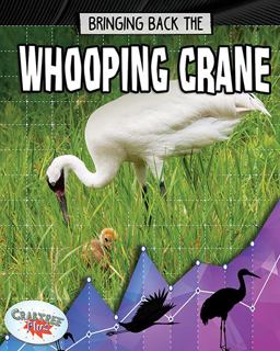 Bringing Back the Whooping Crane Bringing Back the Whooping Crane