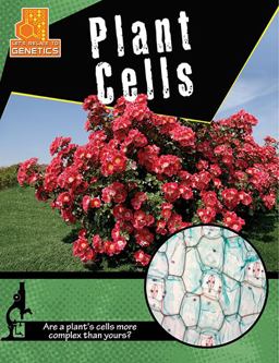 Plant Cells