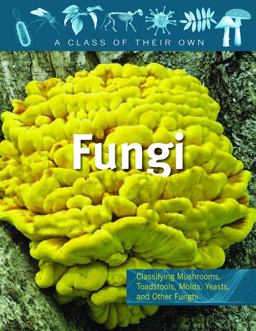 Fungi