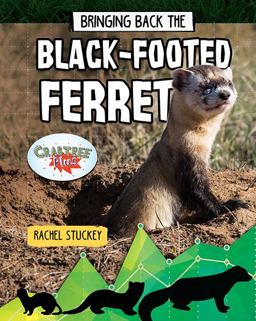 Bringing Back the Black-Footed Ferret Bringing Back the Black-Footed Ferret