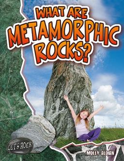 What Are Metamorphic Rocks?  9780778772347 Front Cover
