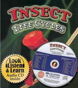 Insect Life Cycles Insect Life Cycles