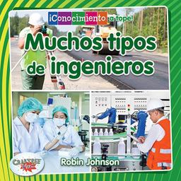 Muchos Tipos de Ingenieros Muchos Tipos de Ingenieros