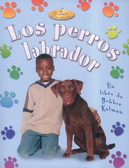 Los Perros Labrador Los Perros Labrador