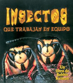 Insectos Que Trabajan en Equipo Insectos Que Trabajan en Equipo