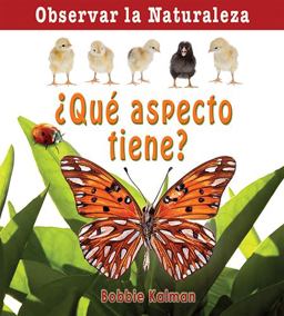 ¿Qué Aspecto Tiene? ¿Qué Aspecto Tiene?