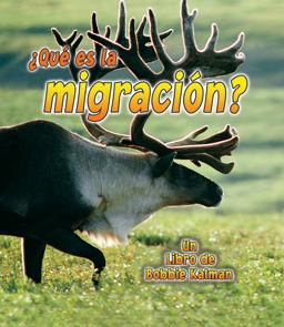 ¿Qué Es la Migración? ¿Qué Es la Migración?