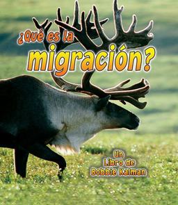 ¿Que Es la Migracion? ¿Que Es la Migracion?