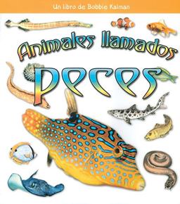 Animales Ilamados Peces Animales Ilamados Peces