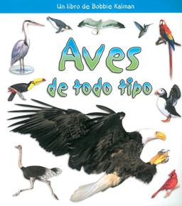 Aves de Todo Tipo