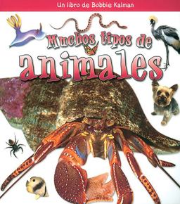 Muchos Tipos de Animales Muchos Tipos de Animales