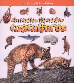 Animales Llamados Mamiferos Animales Llamados Mamiferos