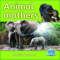 Animal Mothers Animal Mothers
