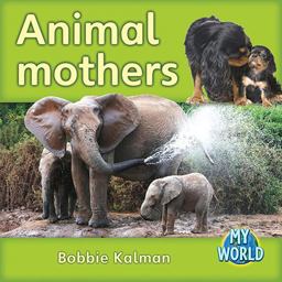 Animal Mothers Animal Mothers