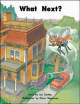 Story Basket, What's Next?, Big Book