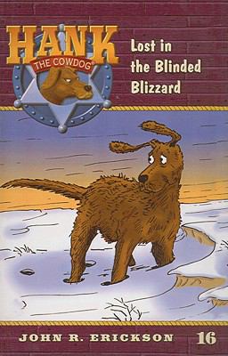 Lost in the Blinded Blizzard