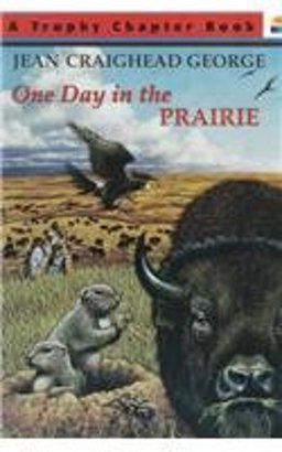 One Day in the Prairie