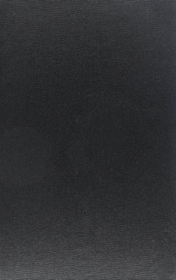 The Raven, the and Other Poems