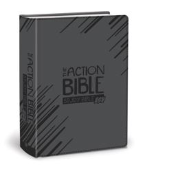 Action Bible Study Bible ESV (Gray)  9780781412964 Front Cover