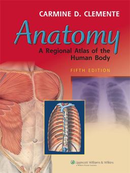 Anatomy A Regional Atlas Human Body 5th 9780781751032 Front Cover