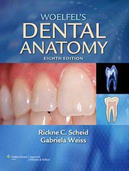 Woelfel's Dental Anatomy Its Relevance to Dentistry 7th 9780781768603 Front Cover
