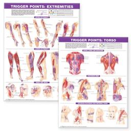Trigger Point Chart Set: Torso and Extremities Paper 2nd 9780781773065 Front Cover