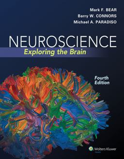 Neuroscience: Exploring the Brain Neuroscience: Exploring the Brain