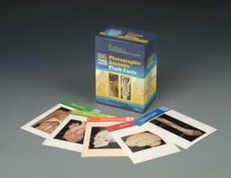 Photographic Anatomy  9780781778350 Front Cover