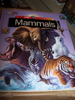 Mammals