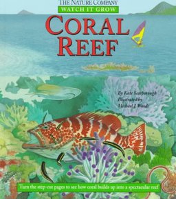 The Coral Reef