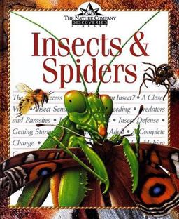 Insects and Spiders