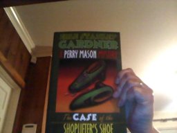 The Case of the Shoplifter's Shoe