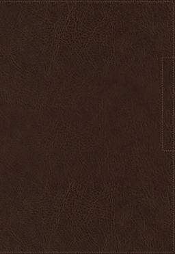 NIV Lucado Encouraging Word Bible [Thumb Indexed, Brown]