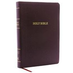 KJV Holy Bible