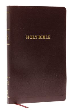 KJV Thinline Reference Bible Red Letter Edition [Burgundy]