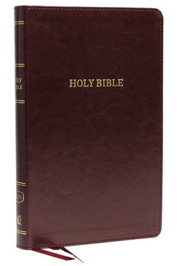 Holy Bible