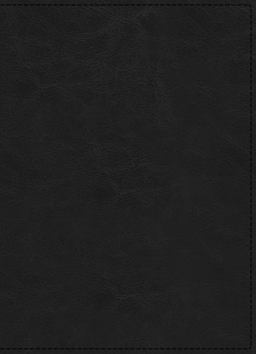 NIV Maxwell Leadership Bible [3rd Edition, Black]