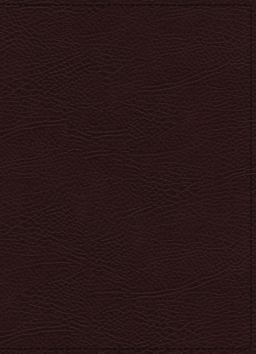 NIV Maxwell Leadership Bible [3rd Edition, Burgundy]