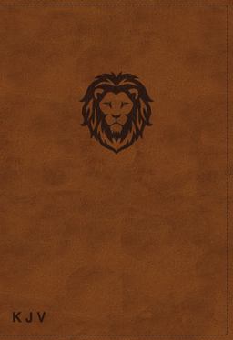 KJV Thinline Bible Youth Red Letter Edition [Brown]  9780785225690 Front Cover