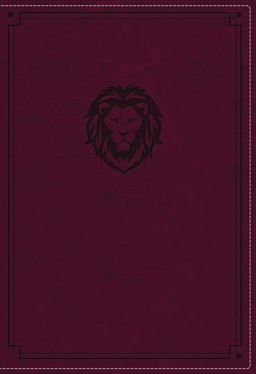 NKJV Thinline Bible Youth Red Letter Edition [Burgundy]