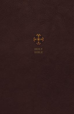 NRSV Catholic Bible Journal Edition [Brown]