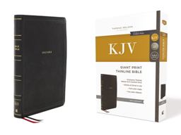 KJV Thinline Bible, Giant Print, Red Letter Edition [Black]