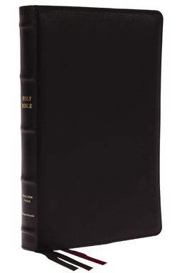 KJV Holy Bible