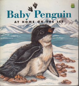 Baby Penguin