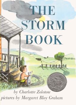 The Storm Book