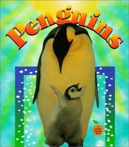 Penguins Penguins