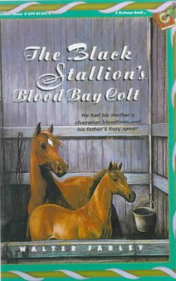 The Black Stallion's Blood Bay Colt