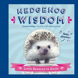 Hedgehog Wisdom: Little Reasons to Smile  9780785837787 Front Cover