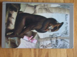 Primate's Memoir : A Neuroscientist's Unconventional Life among the Baboons  9780786234325 Front Cover